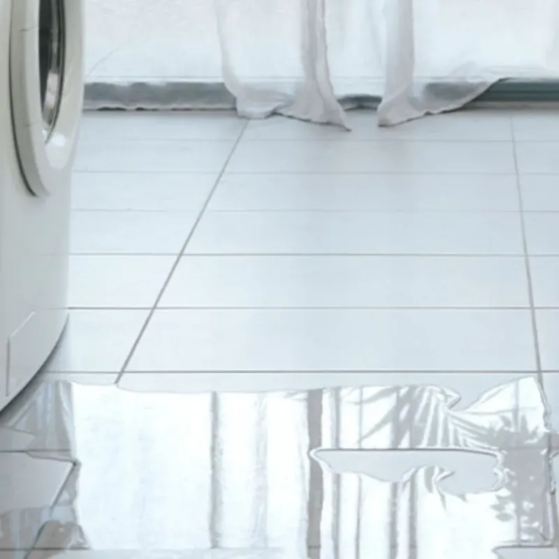 Appliance Leak Cleanup in Chandler, IN