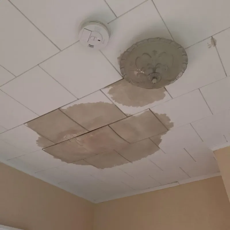 Ceiling Water Damage Repair in Chandler, IN