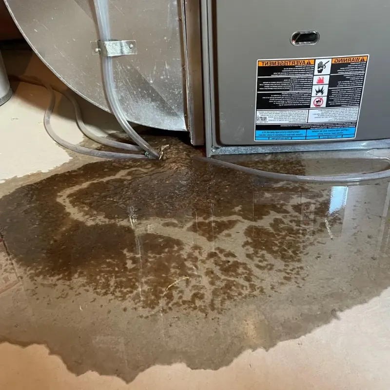 Pipe Burst and Leak Restoration in Chandler, IN