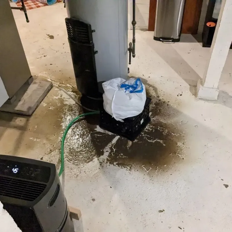 Sewage Backup Cleanup Service in Chandler, IN